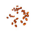 Rhinestones No.2
