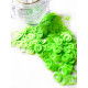 Sequin Decor No. 53