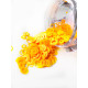 Sequins Decoration No. 48