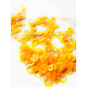 Sequins Decoration No. 48