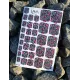 Pedicure nails wraps 142