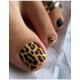 Pedicure nails wraps 006
