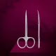 Professional cuticle scissors STALEKS PRO EXCLUSIVE 20 TYPE 2 Magnolia SX-20 2m